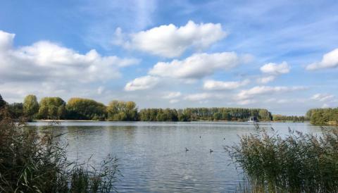 Intro afbeelding voor project: Projectleiding, Staatsbosbeheer