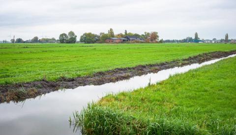 Intro afbeelding voor project: Middengebied Zuidplaspolder, gemeente Zuidplas