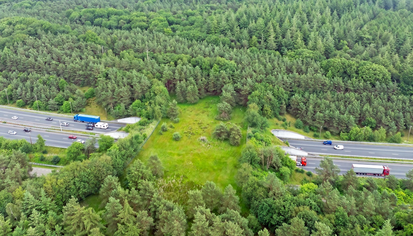 Ecoduct
