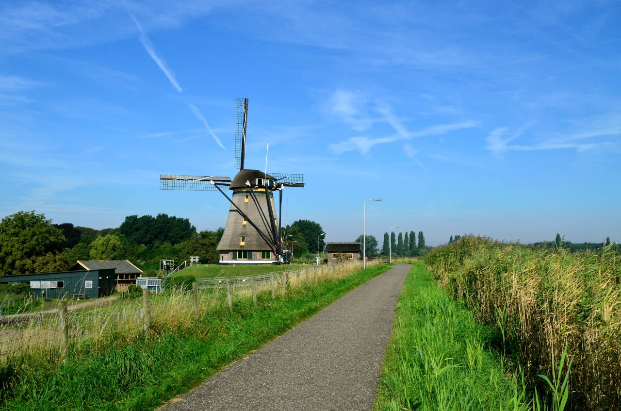 Dijk bij Aalsmeer
