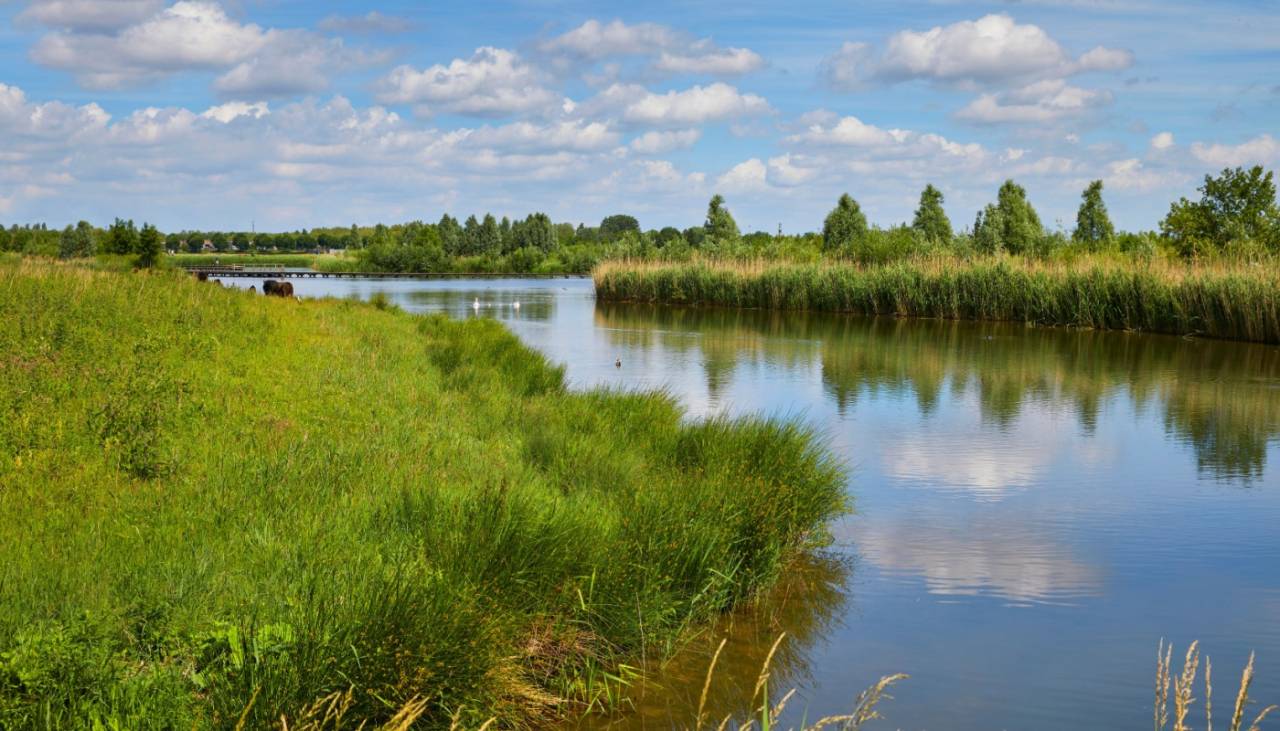 Natuurgebied Zuid-Holland