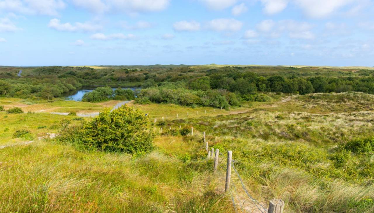 Duinen Noord-Holland