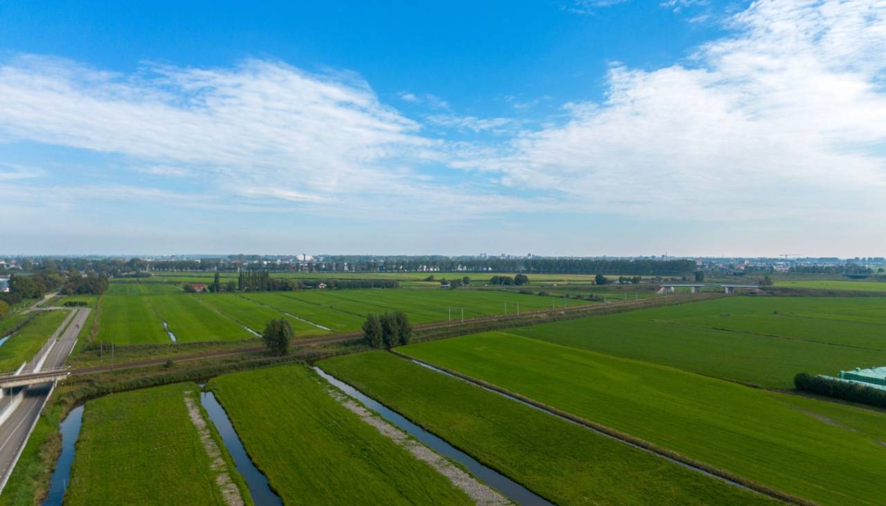 Zuidplaspolder